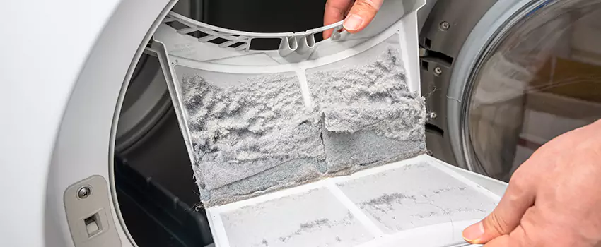 Best Dryer Lint Removal Company in Artesia, California