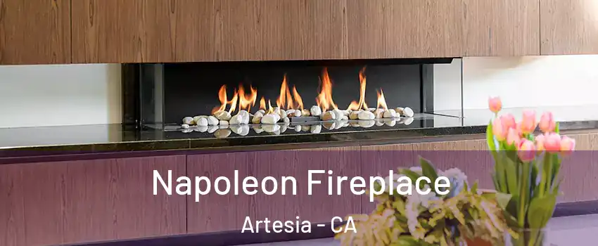  Napoleon Fireplace Artesia - CA
